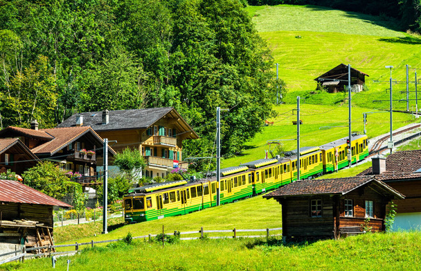 Train on the Wengernalp Railway in Lauterbrunnen, Switzerland - 写真・画像