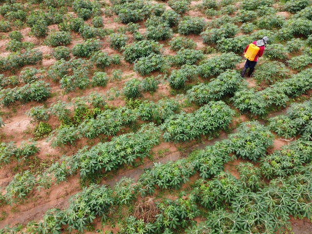 Фермери розпилюють токсичні пестициди або пестициди на сільськогосподарських ділянках
 - Фото, зображення