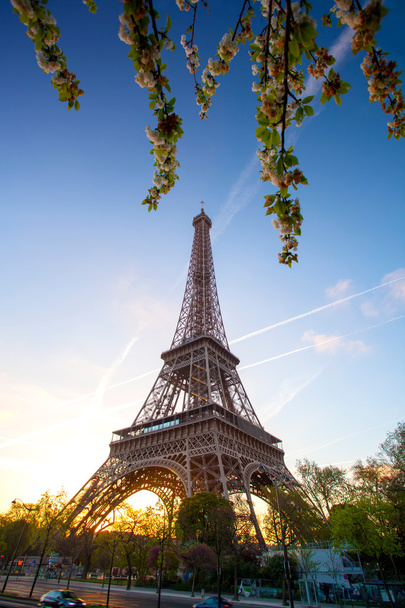 Eiffel Tower during spring time in Paris, France - Фото, зображення