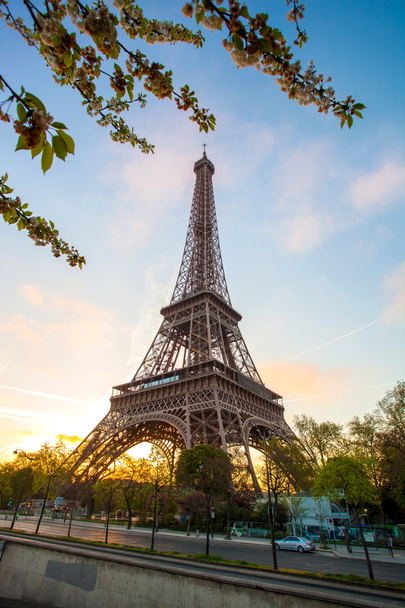 Eiffel Tower during spring time in Paris, France - 写真・画像