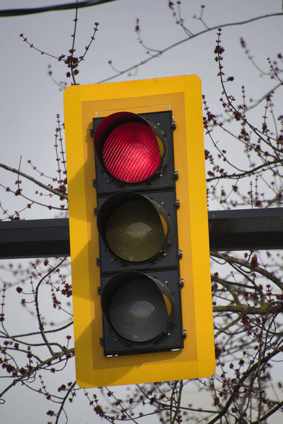 Traffic lights attached to the pole.   North Vancouver BC Canada - Photo, Image