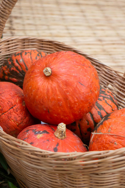 Pumpkins piled upon each other for sale, stock photo - Photo, Image
