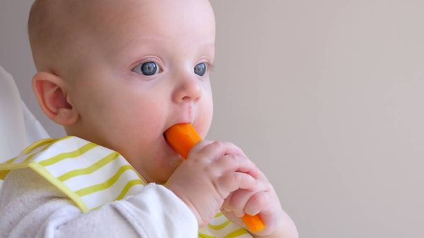 Baby Eating A Carrot. Healthy Nutrition For Baby. - Foto, immagini