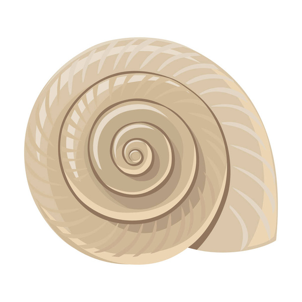 Shell sea vector cartoon icon. Vector illustration sea shell on white background. Isolated cartoon illustration icon of seashell. - Вектор, зображення