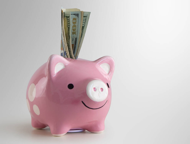 Úspory peněz, obchodní růst nebo finanční koncept. Růžová prasátko banka s bankovkami na bílém pozadí. - Fotografie, Obrázek