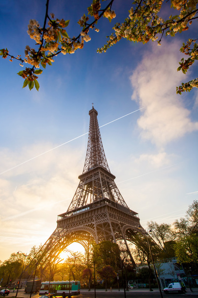Eiffel Tower during spring time in Paris, France - Фото, изображение