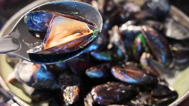 Close up shot of a mussel on a black kitchen spoon. In the background the pot where they are cooking: you can see the steam rising and the cooking broth boiling.The spoon mix it. Mediterranean cuisine - Footage, Video