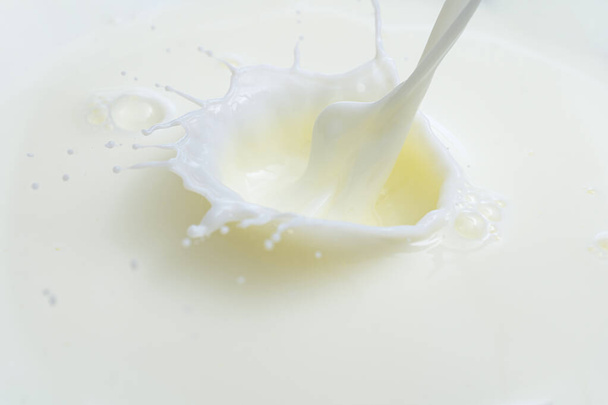 splash on the surface of milk and splashes on a blue background - Zdjęcie, obraz