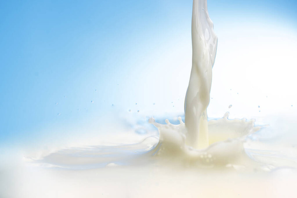splash on the surface of milk and splashes on a blue background - Фото, изображение