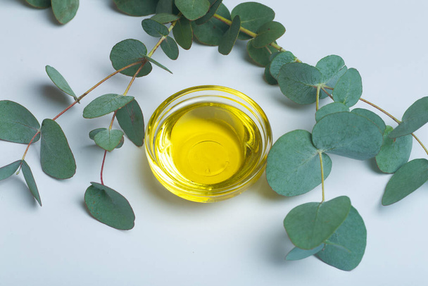Эвкалиптовое масло. Эвкалиптовые листья и масло как основа для косметики и медицины - Фото, изображение