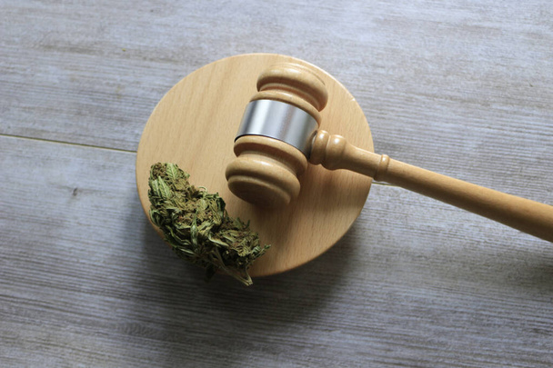 A closeup shot of cannabis on a judge gavel - the concept of marijuana legalization - Zdjęcie, obraz