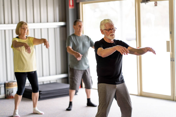 Group of seniors in Tai Chi class exercising in an active retirement lifestyle. Mental and physical health benefits of exercise and fitness in elderly people. Senior health care and wellbeing concept. - Valokuva, kuva