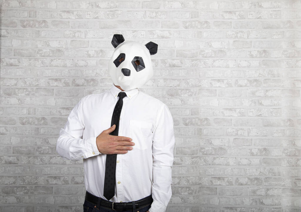 Retrato de un hombre con corbata y cabeza de oso panda - Foto, imagen