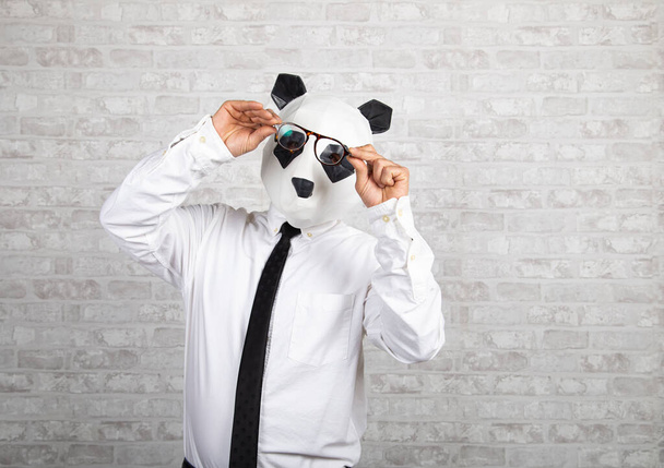 Uomo in maschera panda si mette gli occhiali - Foto, immagini