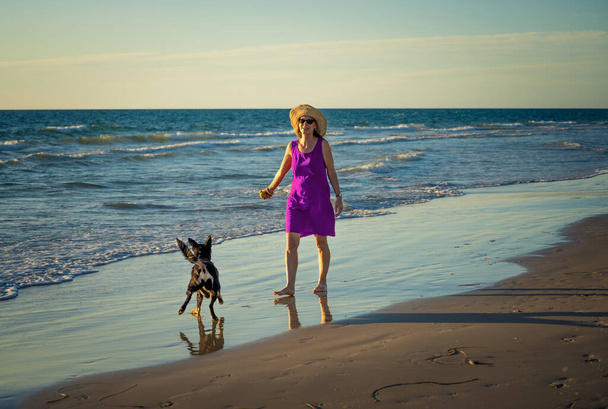 Beautiful mature woman and pet dog off leash walking along the sea shore on remote empty beach. Companionship Benefits of animals Keeping active Retirement lifestyle and Dog friendly tourism. - Φωτογραφία, εικόνα