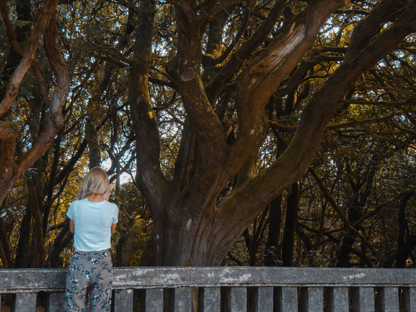 A woman standing on a bridge near big trees from behind - Fotoğraf, Görsel