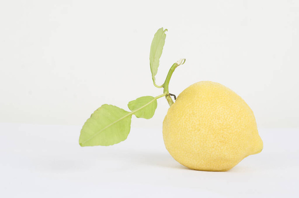 citroen, fruit vitamine citroenzuur eet sap dieet citroenboom - Foto, afbeelding