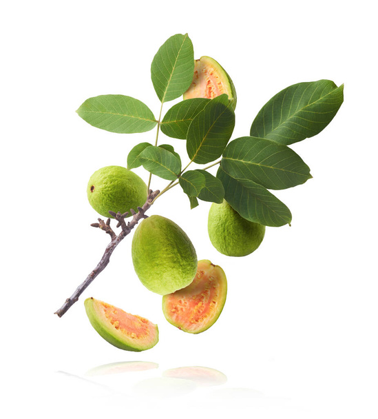 Fresh ripe whole and halved guava with leaves falling in the air isolated on white background. Zero gravity or levitation conception. High quality resolution image - Photo, Image