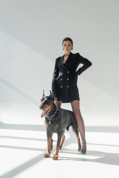 stylish woman standing with hand on hip near doberman on grey background with shadows - Foto, imagen