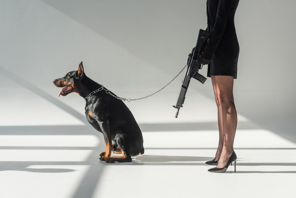 cropped view of elegant woman with rifle near doberman on chain leash on grey background with shadows - Photo, Image