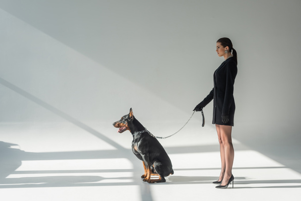 side view of woman in black blazer dress with doberman on chain leash on grey background with shadows - Photo, Image