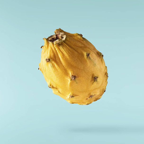 творческий образ со свежими желтыми фруктами дракона или pitaya падая в воздух изолированы на бирюзовом фоне., левитации или нулевой гравитации пищевой концепции. Изображение высокого разрешения - Фото, изображение
