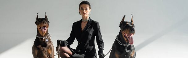 elegante mujer en vestido de chaqueta negro cerca de perros doberman sobre fondo gris, bandera - Foto, imagen