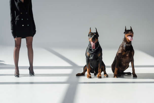 vista recortada de mujer elegante cerca de perros doberman sobre fondo gris con sombras - Foto, imagen