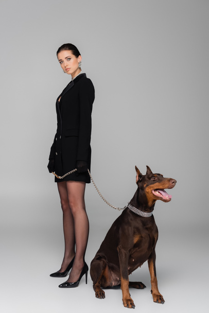 Вид в полный рост элегантной женщины, смотрящей на камеру рядом с собакой доберман на сером фоне - Фото, изображение