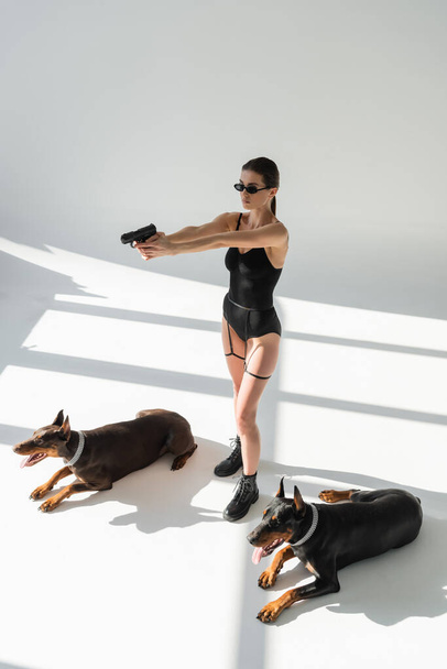 sexy woman in bodysuit aiming with gun near dobermans on grey background with shadows - Photo, Image