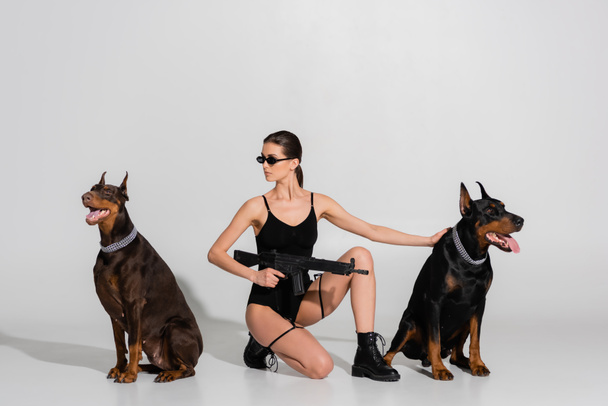 sexy woman in bodysuit and sunglasses holding rifle near dobermans on grey background - Photo, Image