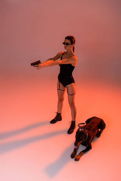 ピンクの背景に黄色の光でドーバーマン近くの拳銃で目指すセクシーな女性の高い角度ビュー - 写真・画像
