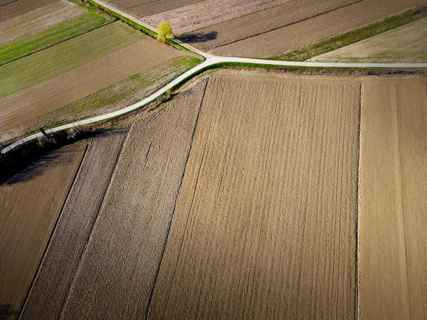  Fields and Paths in Vipava Valley Near Sempas. Detail From Drone.  - Photo, Image