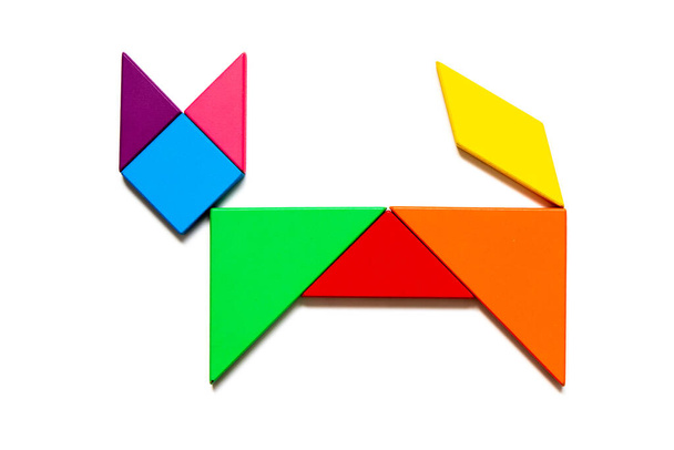 Kleur tangram puzzel in kattenvorm op witte achtergrond - Foto, afbeelding