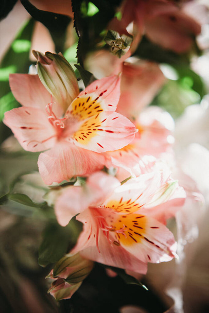 delicate bouquet of pink alstroemeria, Inca lilies in a bouquet - Photo, Image
