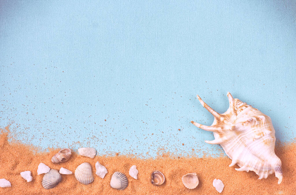 background with seashells, sand, empty space for text, vacation banner, textured paper - Photo, image