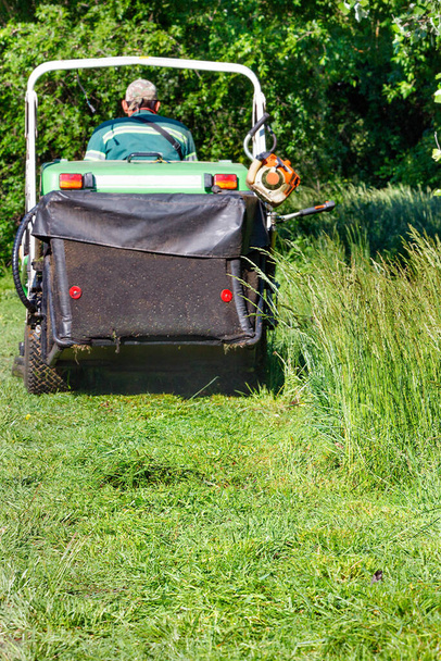 The mown green grass is collected in the hopper of a professional lawnmower, which moves forward on a clear sunny day. Vertical image, foreground focus, copy space. - Photo, Image