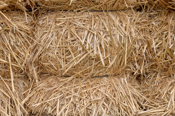 detalle de fardos de paja apilados en una granja - Foto, imagen
