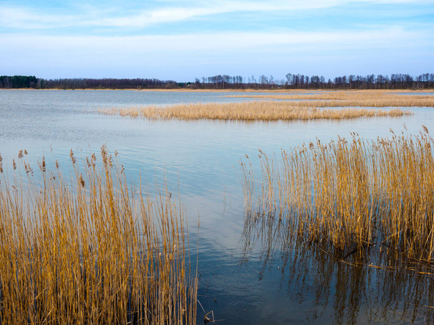 Θέα της λίμνης Krzczen που ζωντανεύει μετά το χειμώνα. Περιφέρεια Lenczysko Wodawskie Lake - Φωτογραφία, εικόνα