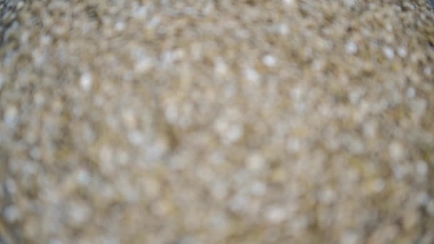 Enfoque de conmutación de vídeo a través de un montón de cebada molida (hordeum vulgare) en una tienda de granos - Imágenes, Vídeo