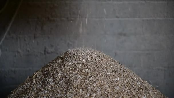 Video von gemahlener Gerste (hordeum vulgare), die aus einer Walzenmühle kommt und einen Haufen bildet - Filmmaterial, Video