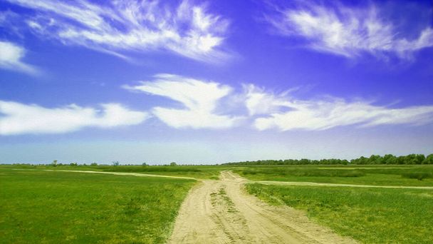 Rural sandy road among steppe grassland, beautiful cloudscape above meadow,  artistic structured pattern       - Photo, Image