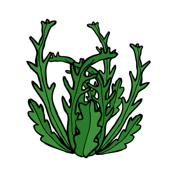 cartoon seaweed - Vector, Image