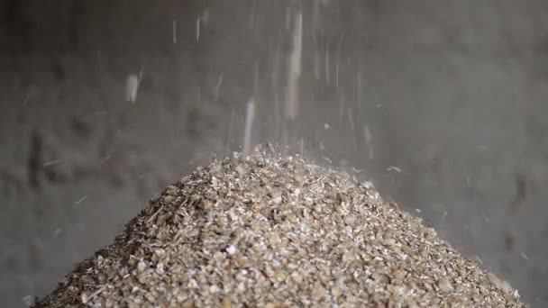 Video von gemahlener Gerste (hordeum vulgare), die aus einer Walzenmühle kommt und einen Haufen bildet - Filmmaterial, Video