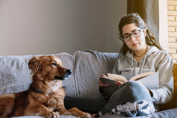 Νεαρή γυναίκα διαβάζει ένα βιβλίο καθισμένη σε έναν καναπέ με το σκύλο της. Χαλαρώστε την ιδέα. - Φωτογραφία, εικόνα