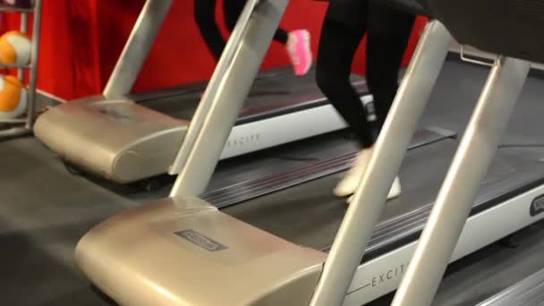 Young women doing sports, running on machines in fitness, gym. Workout - Footage, Video