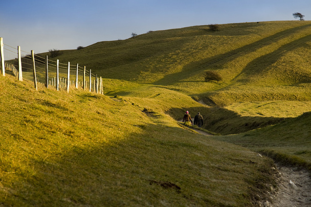 South Downs - Foto, afbeelding