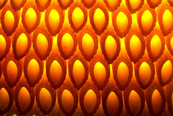 безумная итальянская макаронная композиция с подсветкой - Фото, изображение