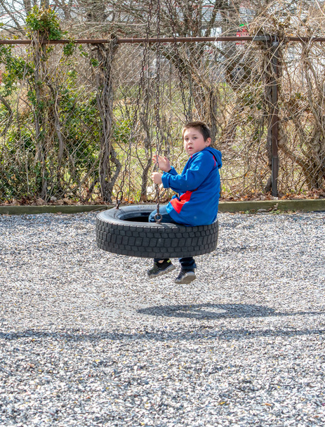 happy little boy sitting on a tire swing - Photo, Image
