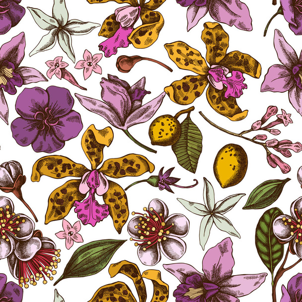Seamless pattern with hand drawn colored laelia, feijoa flowers, glory bush, papilio torquatus, cinchona, cattleya aclandiae - Вектор, зображення